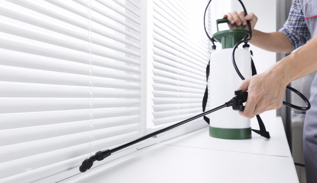 ابادة البراغيث