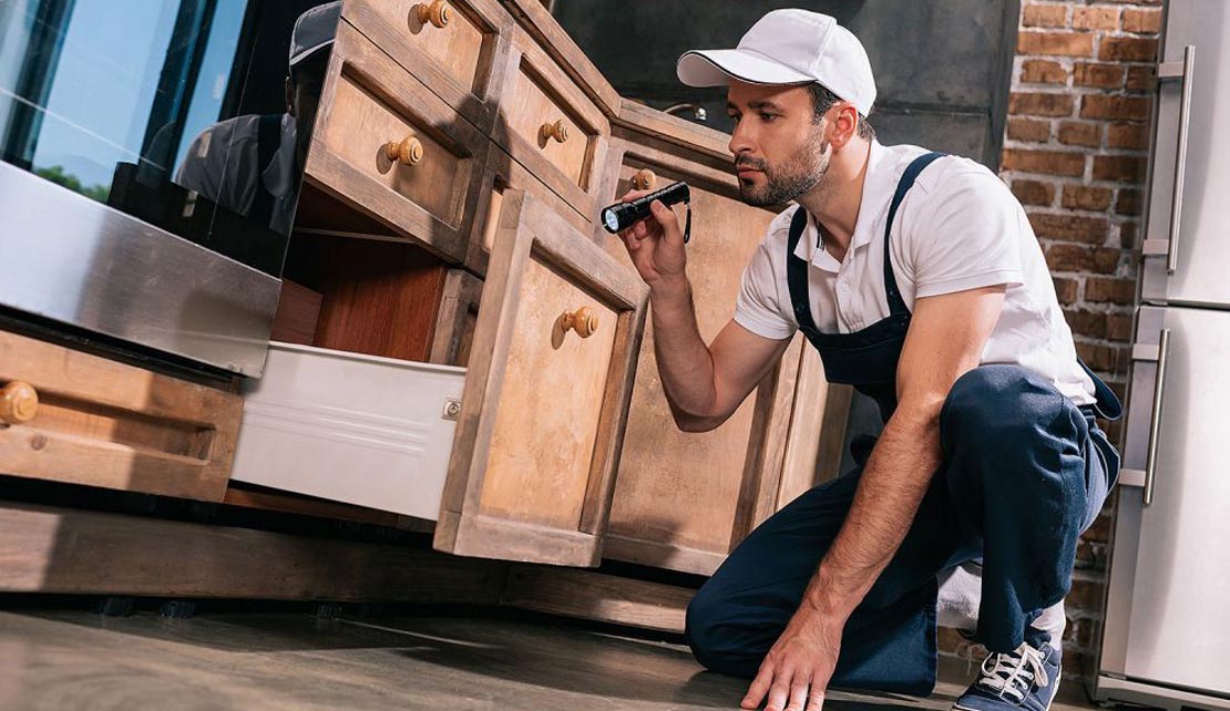 ابادة الابراص