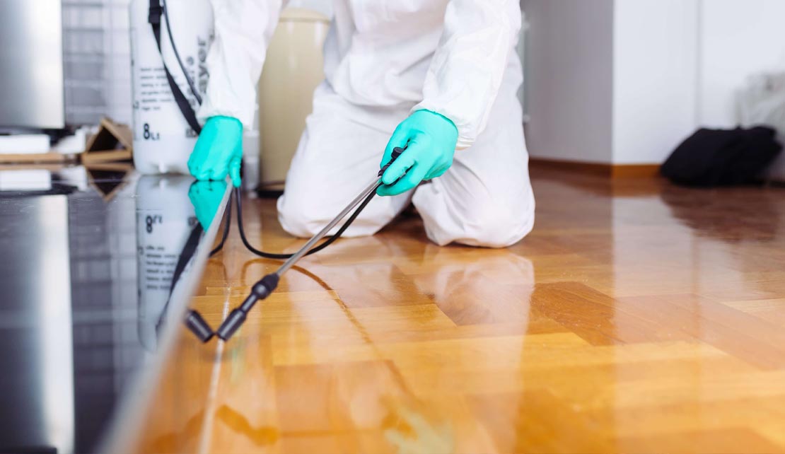 ابادة الحشرات