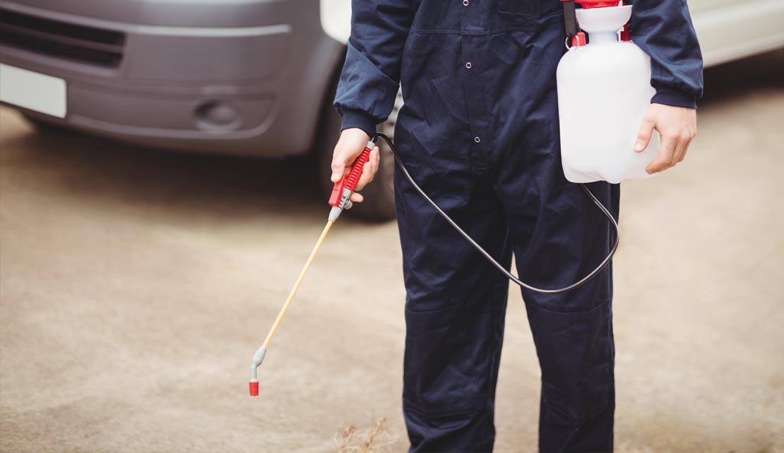 ابادة النمل