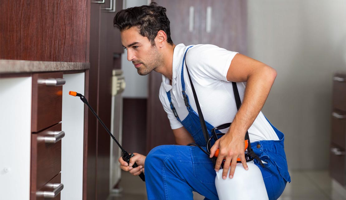 مكافحة الحشرات