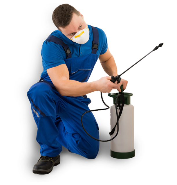 ابادة حشرات بمبيدات المانية