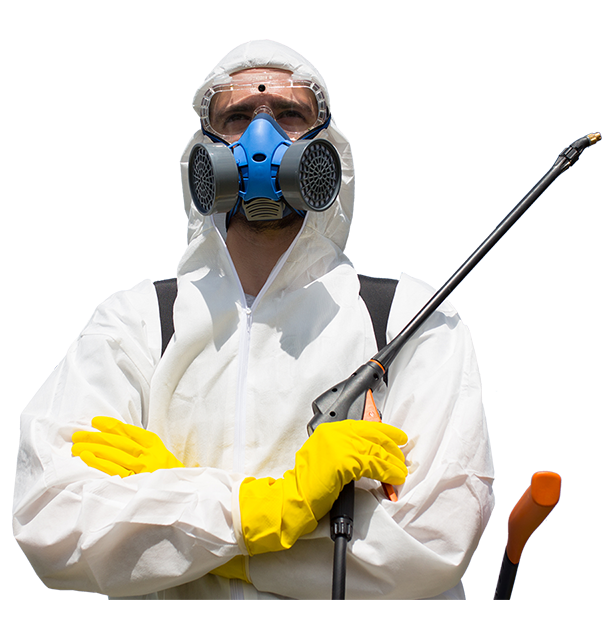 ابادة حشرات امنة على الصحه