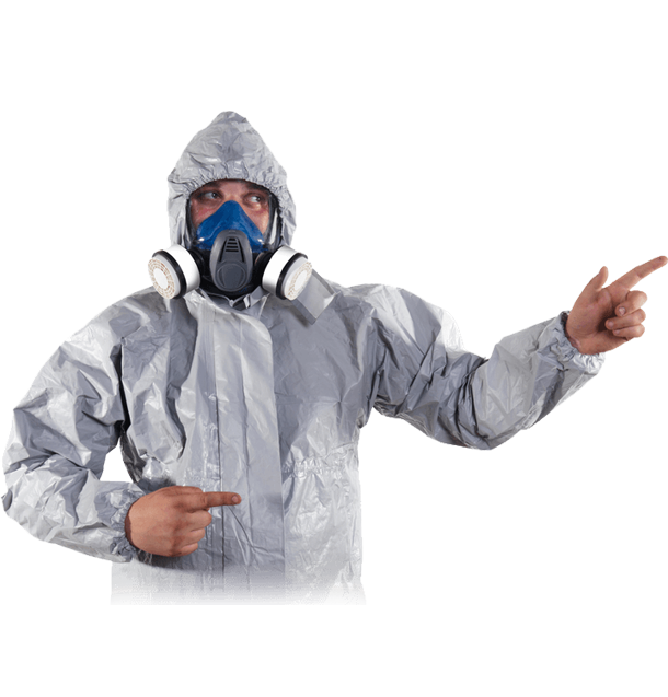 ابادة حشرات بضمان 5 سنوات